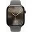 Смарт-часы Apple Watch Series 10 GPS + Cellular 46mm Natural Titanium Case w. Stone Grey Sport Band - M/L MWYA3 - миниатюра 2