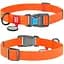 Нашийник для собак Waudog Waterproof водостійкий з QR-паспортом, пластикова пряжка-фастекс, M, Ш 20 мм, Дов 24-40 см (4823089323800) - мініатюра 1