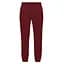 Штани Saucony Recovery Sweatpant Burgundy XS (1097-800049-SUA3 XS) - мініатюра 1