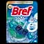 Туалетний блок для унітазу Bref Color aktiv Евкаліпт 50 г (785457) - мініатюра 1