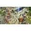 Ключ активації Microsoft Age of Mythology: Retold Premium Edition для Xbox Series S/X - мініатюра 5