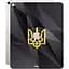 Захисна плівка StatusSKIN для Apple Apple iPad Air 13 2025 Корпус Вініл Герб 1 - мініатюра 1