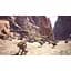 Ключ активації Microsoft Monster Hunter: World для Xbox One/Series - мініатюра 8