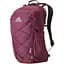 Рюкзак Gregory Kiro 22 Amethyst (1053-136982 B170) - миниатюра 1