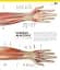 The Definitive Visual Guide: Complete Human Body - мініатюра 8