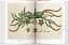 A Garden Eden. Masterpieces of Botanical Illustration. 40th Edition - мініатюра 5
