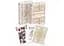 Карты игральные United States Playing Card Company Bicycle Botanica (09398) - миниатюра 6
