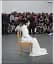 Marina Abramović - мініатюра 4