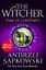The Witcher. Time of Contempt - мініатюра 1