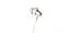 Наушники 1MORE E1024BT Stylish Dual-dynamic Driver Wireless Mic Gold (E1024BT-GOLD) - миниатюра 2