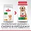 Сухий корм Hill's SP Puppy Large Breed C 0,8 кг для цуценят великих порiд зі смаком курки - мініатюра 2