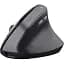 Компьютерная мышка Trust Bayo 2 Ergonomic Wireless/USB-A Black (25145) - миниатюра 1