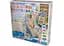 Настільна гра Days of Wonder Квиток на поїзд: Нью Йорк (Ticket to Ride: New York) (англ.) (DOW720060) - мініатюра 2