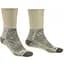 Носки Bridgedale Hike LW Comfort Boot Original M Natural (1053-710514.926.M) - миниатюра 1
