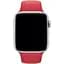 Ремешок DK для Apple Watch 42mm (Series 1 / 2 / 3) M / L Silicone Sport Band (05531) (red) - миниатюра 2