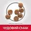 Сухий корм Hill’s SP Puppy Smal&Mini для цуценят малих і мініатюрних порід з куркою 0.3 кг - мініатюра 4