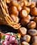 Саженец Agro-Market Фундук Фускорубра (средний срок созревания, перекрестное опыление, сажать по 2 шт.) 1 шт. в упаковке (101928) - миниатюра 1