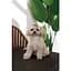 Кепка Pet Fashion Glamor для собак L - миниатюра 6