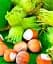 Саженец Agro-Market Фундук Галле (средний срок созревания, перекрестное опыление, сажать по 2 шт.) 1 шт. в упаковке (24610) - миниатюра 1