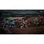 Ключ активации Microsoft Monster Energy Supercross - The Official Videogame 3 для Xbox One/Series - миниатюра 5