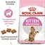 Сухий корм для кошенят після стерилізації Royal Canin Kitten Sterilised 2 кг - мініатюра 4