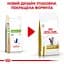 Корм для котів Royal Canin Urinary S/O при захворюваннях сечовивідних шляхів 3.5 кг (39010351) - мініатюра 2