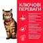 Сухий корм Hill's SP Adult Sensitive Stomach&Skin для котів із чутливим травленням з куркою 1.5 кг - мініатюра 2