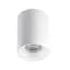 Потолочный точечный светильник Kanlux RITI GU10 W/W (27569) - миниатюра 1
