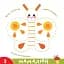 Прописи-тренажер. У саду - мініатюра 2