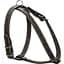 Шлея для собак Collar одинарна, шкіра, для міні порід, 40-48х43-51х1,4 см, чорний (6341) - мініатюра 1