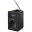 Радиоприемник Sharp DR-430 Black - миниатюра 1
