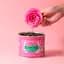 Чай зелений Kusmi Tea Green Rose органічний 100 г - мініатюра 4