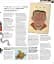 Medicine. The Definitive Illustrated History - мініатюра 5