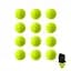 Набір м'ячів для великого тенісу SWDN Tennis Ball NE-TT-12 в чохлі 12 штук - мініатюра 1
