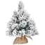 Сосна искусственная Black Box Trees Dinsmore Frosted с эффектом покрытия снегом 60 см бело-зеленая (8718861289077) - миниатюра 1