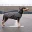 Жилет Pet Fashion E.Vest для собак, розмір M2, сірий - мініатюра 6