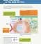 Human Anatomy & Physiology Global Edition - мініатюра 4