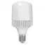 LED лампа VIDEX A118 50W E40 5000K - мініатюра 2