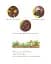 The Gruffalo 25th Anniversary Edition - мініатюра 2