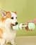 Пляшка-поїлка для собак і кішок Pets Feeder 2 відділення 400 мл + 185 мл Semi 25.5x9x8 см fit0014744 - мініатюра 6