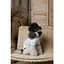 Футболка Pet Fashion Polo для собак XS - миниатюра 6