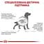 Сухой корм для собак Royal Canin Gastrointestinal при нарушении пищеварения 15 кг - миниатюра 4