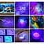 DARKBEAM UV 395nm Ліхтарик USB Перезаряджуваний, Wood's Lamp Black Light, Ручний ультрафіолетовий світлодіод Портативний - мініатюра 4