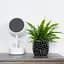 Ваза-кашпо МВМ My Home, 13 см, черная (DH-FLOWERS-27 BLACK) - миниатюра 4