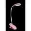 Настільні лампи Splendid-Ray lighting Splendid-Ray 30-3862-79 - мініатюра 2