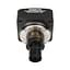 Цифрова камера для мікроскопа SIGETA M3CMOS 32000 32.0 MP USB 3.0 - мініатюра 2