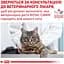 Сухий корм Royal Canin Satiety Weight Management для дорослих котів з надмірною вагою 1.5 кг (39430151) - мініатюра 6
