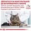 Влажный корм Royal Canin Urinary S/O Feline для кошек при заболевании нижних мочевыводящих путей 85 г - миниатюра 7