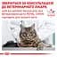 Сухий дієтичний корм для дорослих котів Royal Canin Calm у періоди адаптації при зміні умов життя, 4 кг (39550409) - мініатюра 7