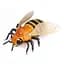 Радиоуправляемая игрушка Best Fun Toys Giant Fly оса (EPT474060) - миниатюра 1